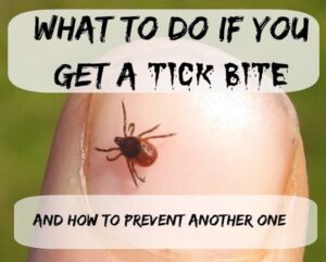 Preventing-Tick-Bites