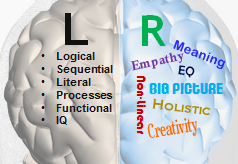 left vs right brain content