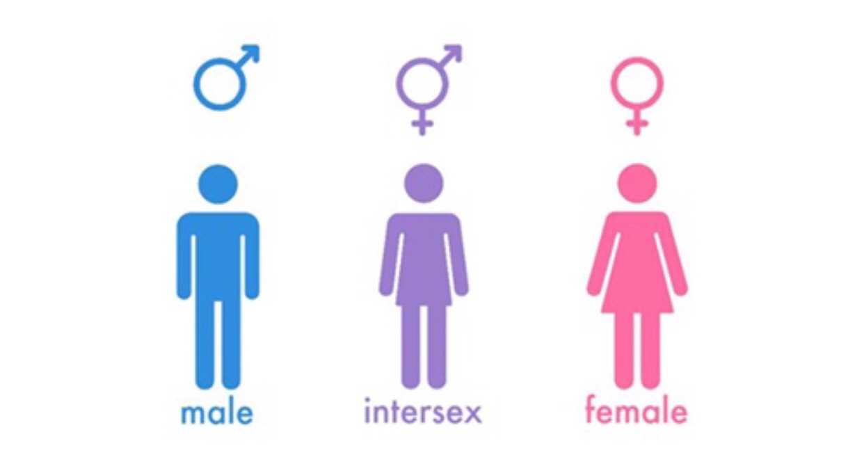 intersex graphic